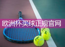 星空体育官方平台：进口健身器材