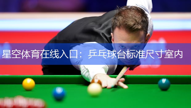 星空体育在线入口：乒乓球台标准尺寸室内