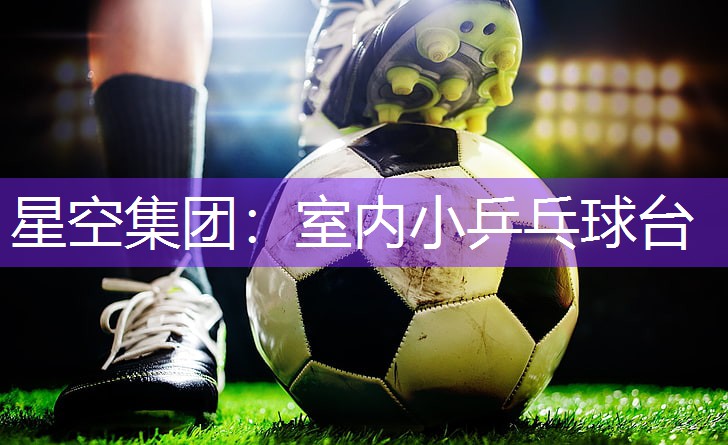 星空集团：室内小乒乓球台