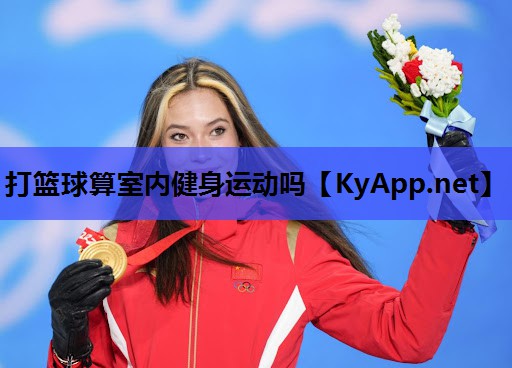 打篮球算室内健身运动吗