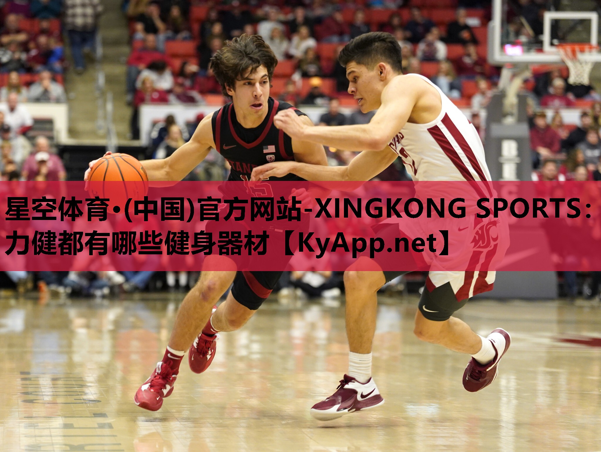 星空体育·(中国)官方网站-XINGKONG SPORTS：力健都有哪些健身器材