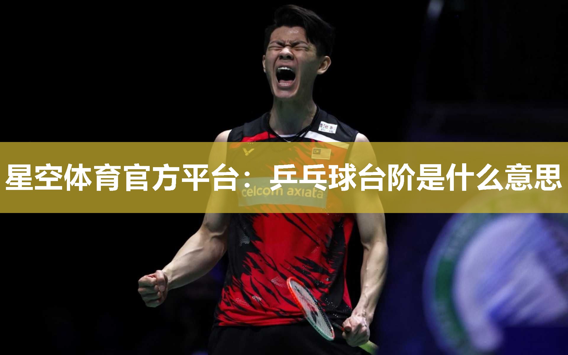 星空体育官方平台：乒乓球台阶是什么意思