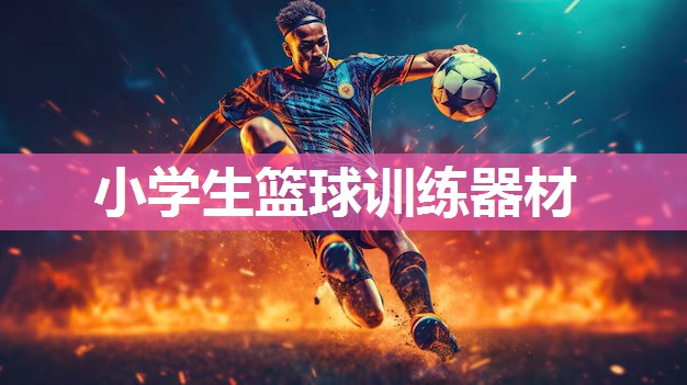 小学生篮球训练器材