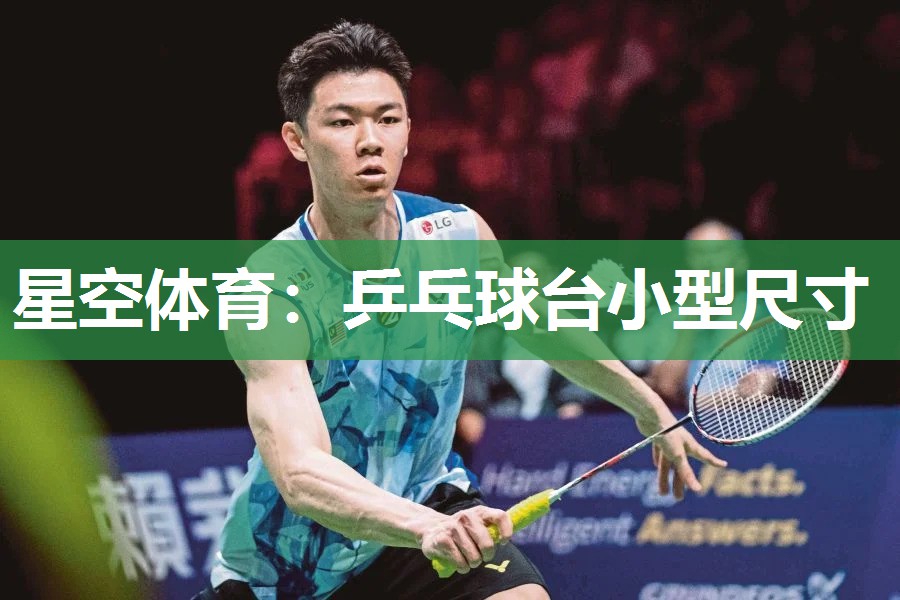 星空体育：乒乓球台小型尺寸