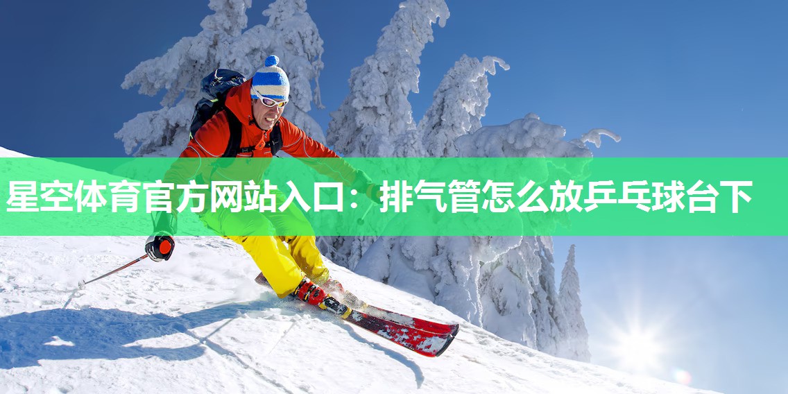 星空体育官方网站入口：排气管怎么放乒乓球台下