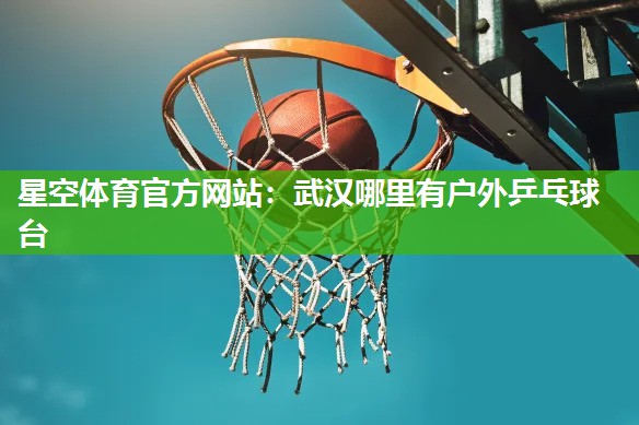 星空体育官方网站：武汉哪里有户外乒乓球台
