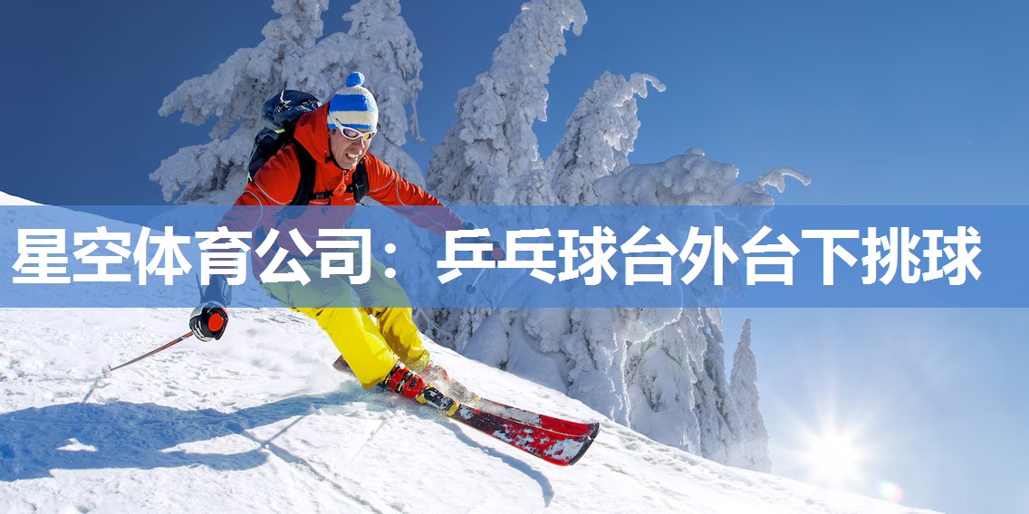 星空体育公司：乒乓球台外台下挑球