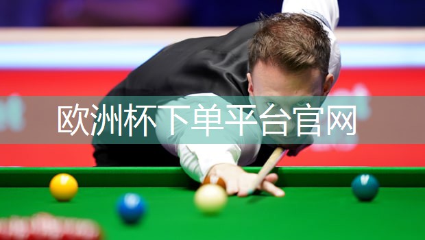 放入水中的乒乓球台