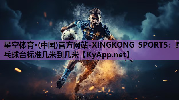 乒乓球台标准几米到几米
