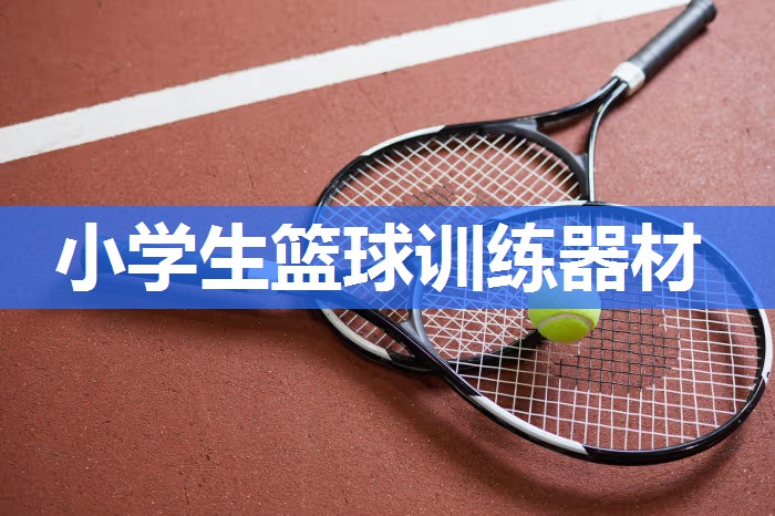 小学生篮球训练器材