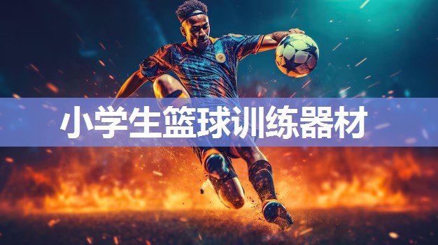 小学生篮球训练器材