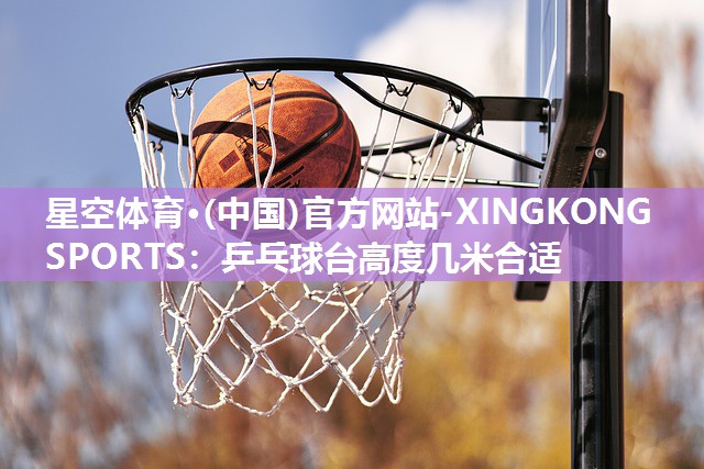 乒乓球台高度几米合适