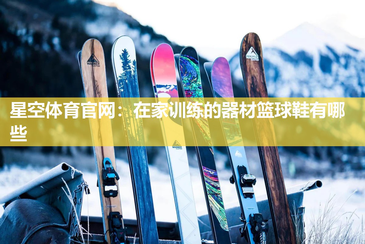 在家训练的器材篮球鞋有哪些