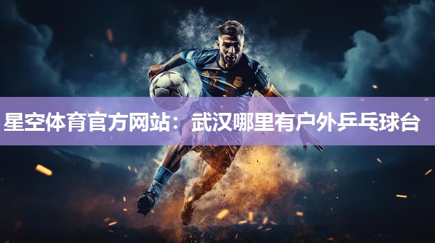 武汉哪里有户外乒乓球台