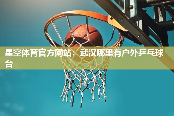 武汉哪里有户外乒乓球台