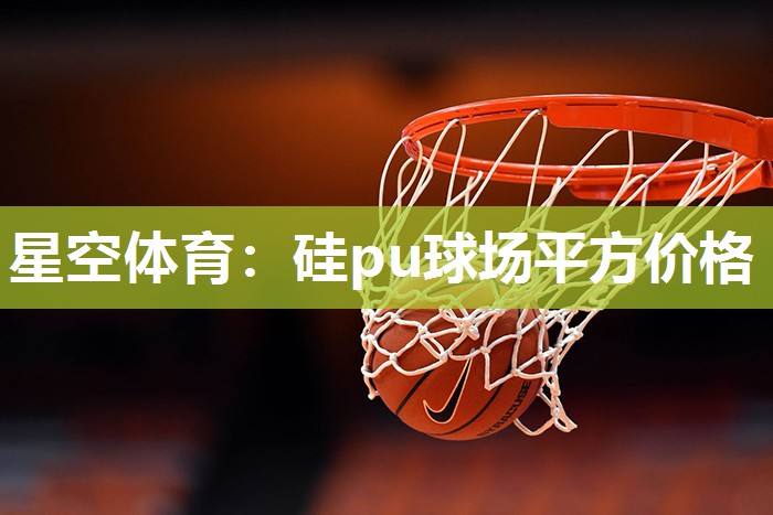 硅pu球场平方价格