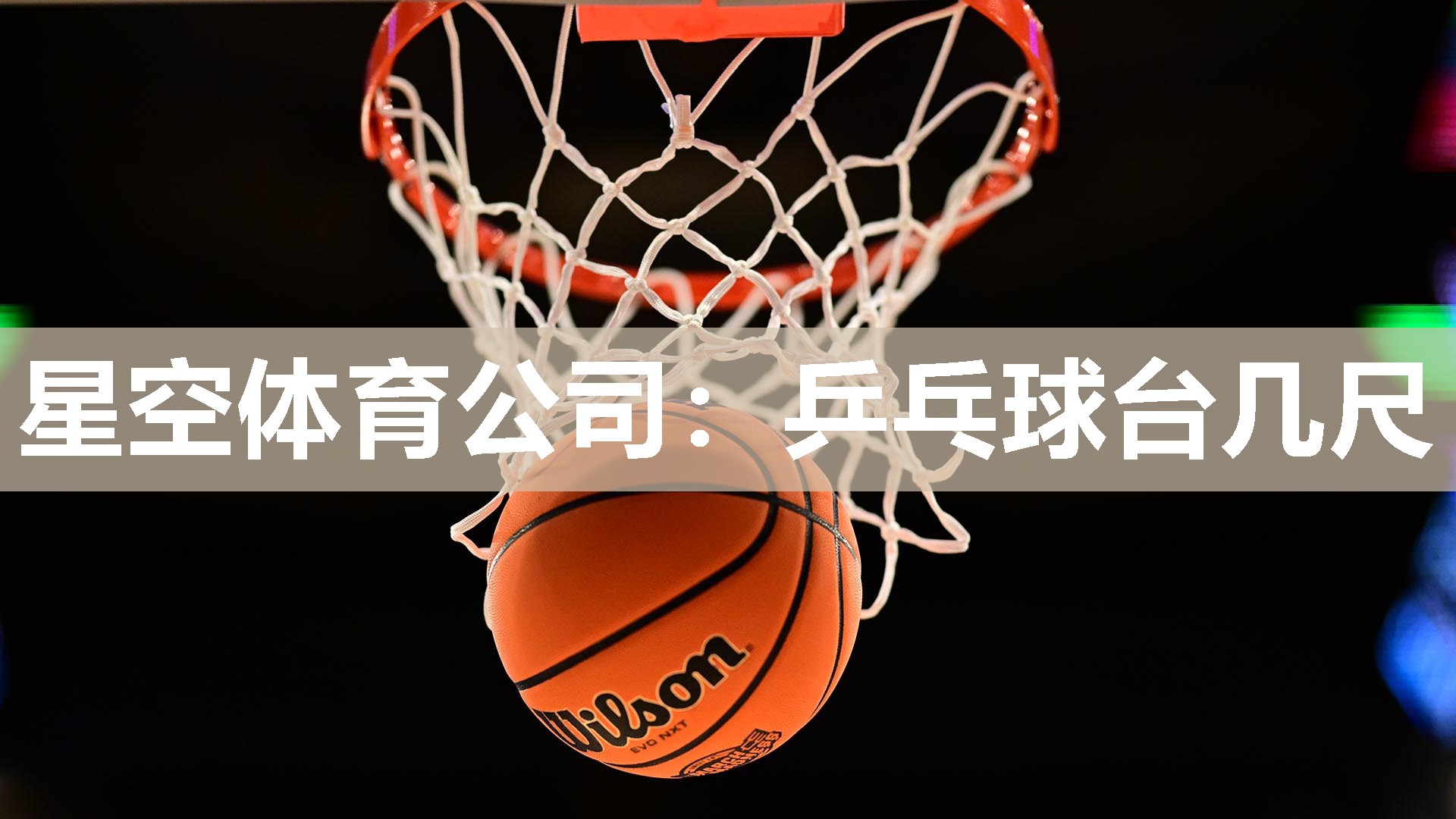 乒乓球台几尺