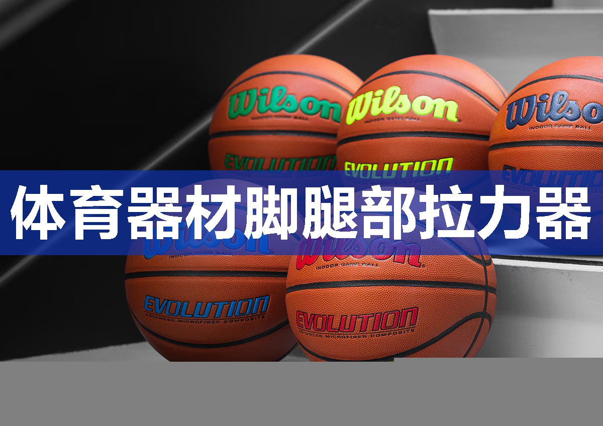 体育器材脚腿部拉力器
