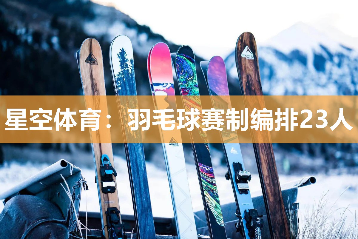 羽毛球赛制编排23人