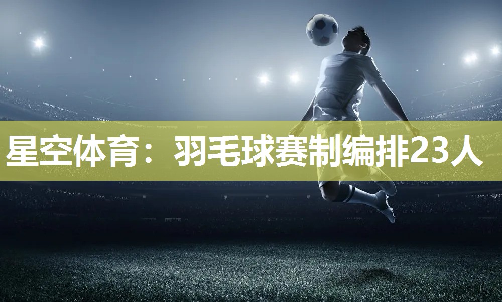 羽毛球赛制编排23人